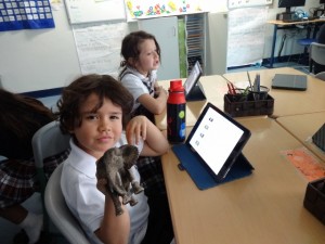 DSC02718 - Copy (640x480)