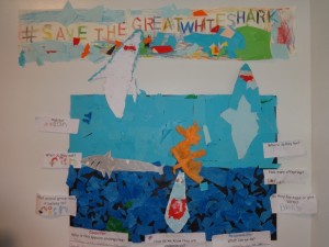 #savethegreatwhiteshark