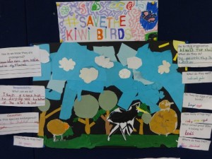 #savethekiwibirds