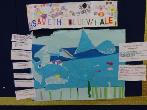 #savethebluewhales