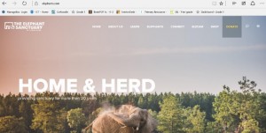 Elephant website (640x323)